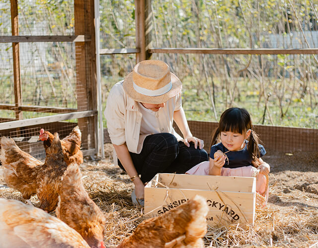T77 - Chul Farm