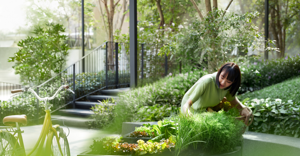 พื้นที่ Sansiri Backyard ในโครงการดีคอนโด ไฮด์อเวย์ รังสิต