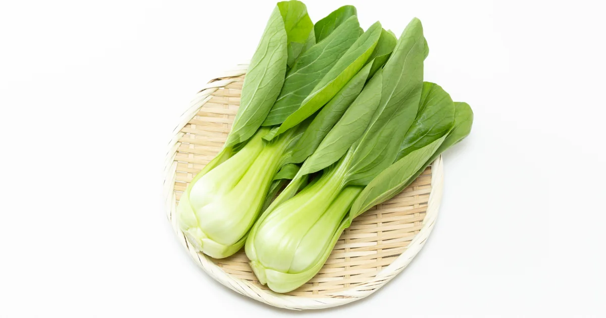 กวางตุ้ง กวางตุ้ง