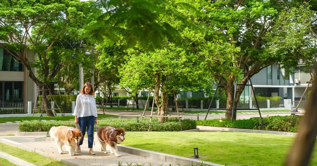 สราญสิริ ศรีวารี บ้านเดี่ยวพร้อมสวนสาธารณะสีเขียวสบายตาสำหรับพักผ่อน