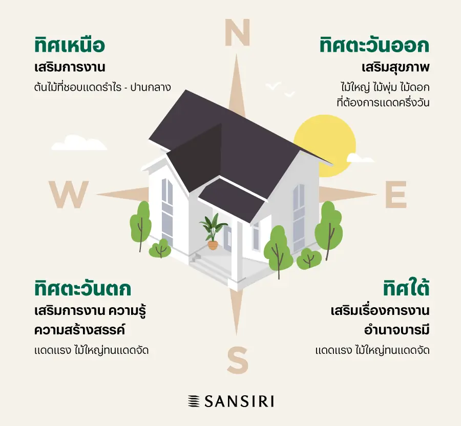 ปลูกต้นไม้หน้าบ้านตำแหน่งไหนดี