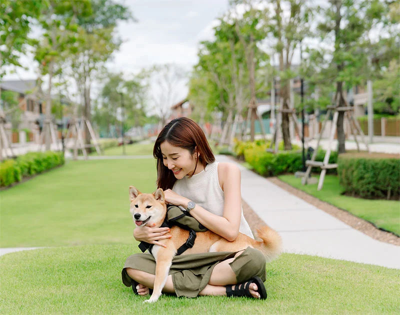 รังสิต - บางพูน คอมมูนิตี้