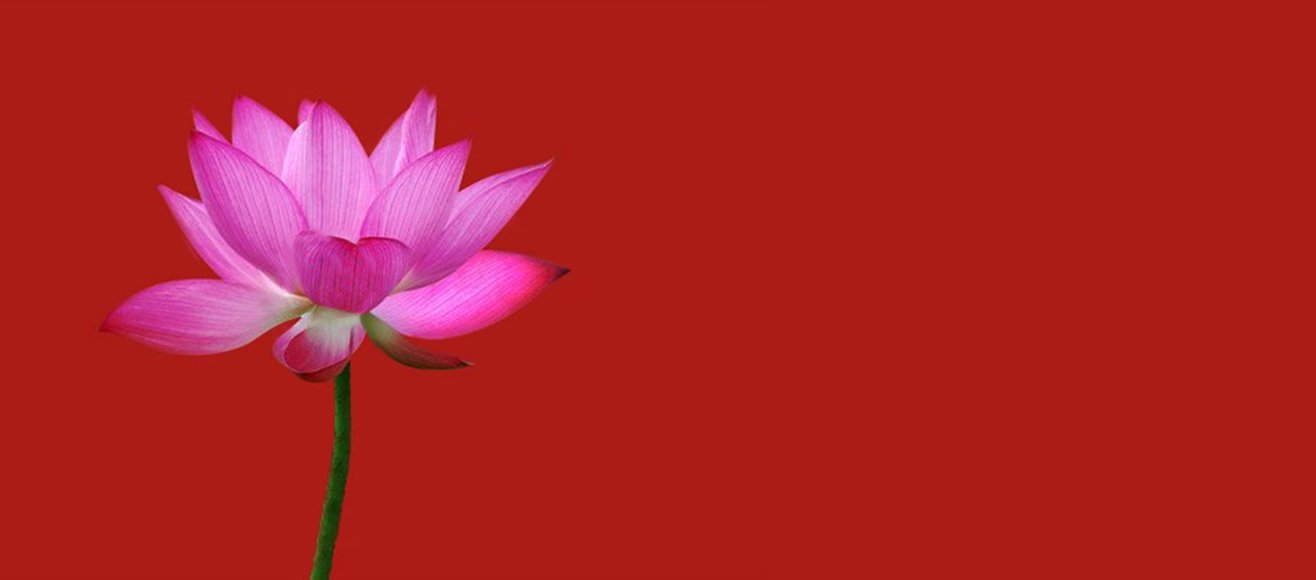 บ้านเดี่ยว ศาลายา คณาสิริ ศาลายา-ปิ่นเกล้า (Kanasiri Salaya Pinklao) แรงบันดาลใจจากดอกบัว
