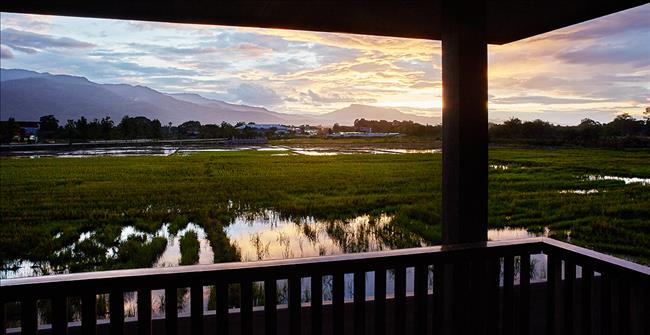 Burasiri San Phi Suea – Chiang Mai 獨棟別墅 清邁(Chiangmai) , 清邁