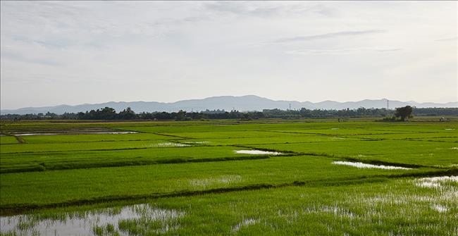 Burasiri San Phi Suea – Chiang Mai 獨棟別墅 清邁(Chiangmai) , 清邁