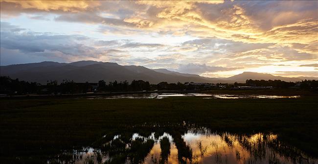 曼谷-近郊 獨棟別墅 Burasiri San Phi Suea – Chiang Mai