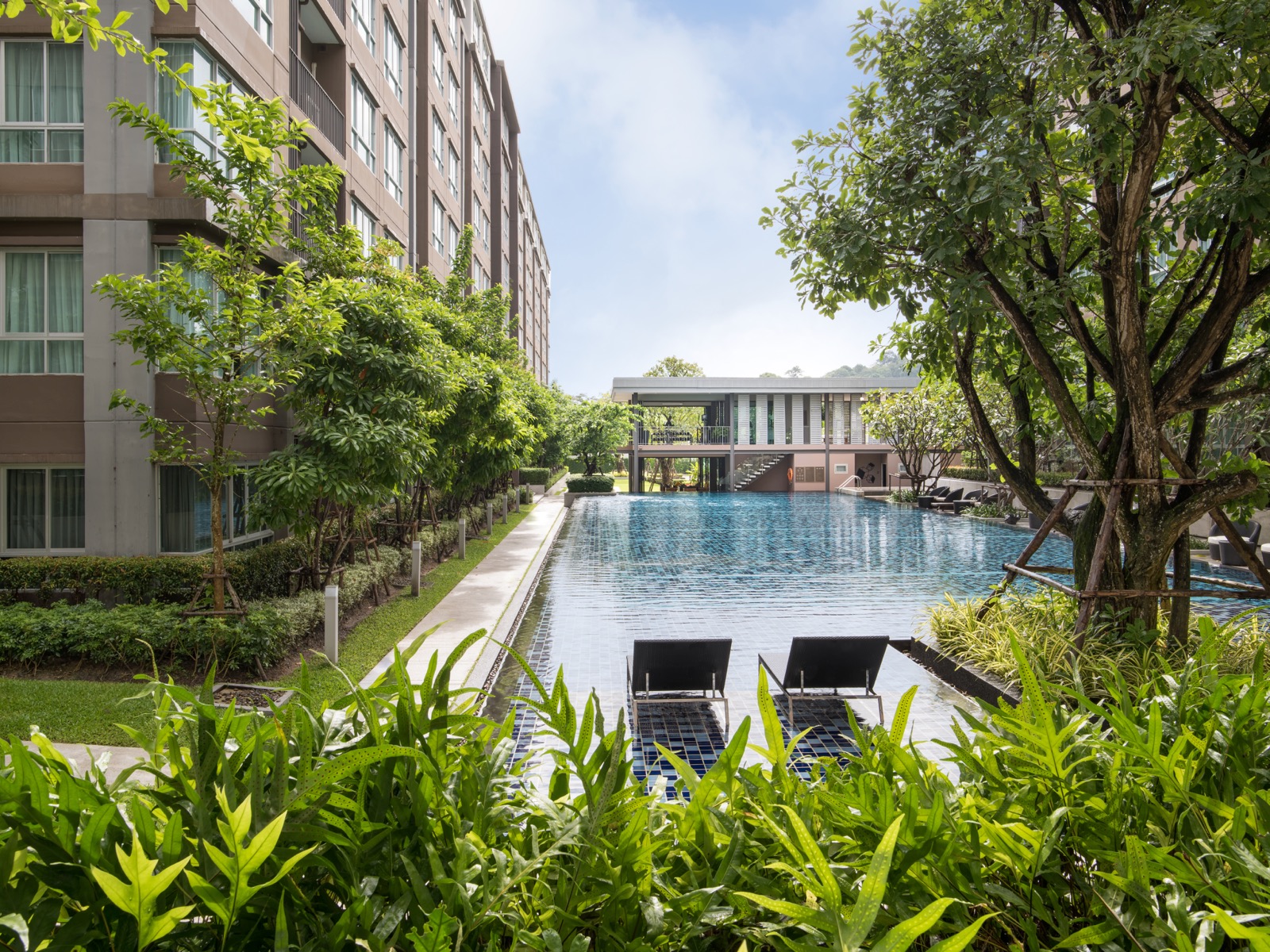 dcondo Campus Resort Kuku Phuket 公寓大廈 普吉市(Phuket) , 普吉