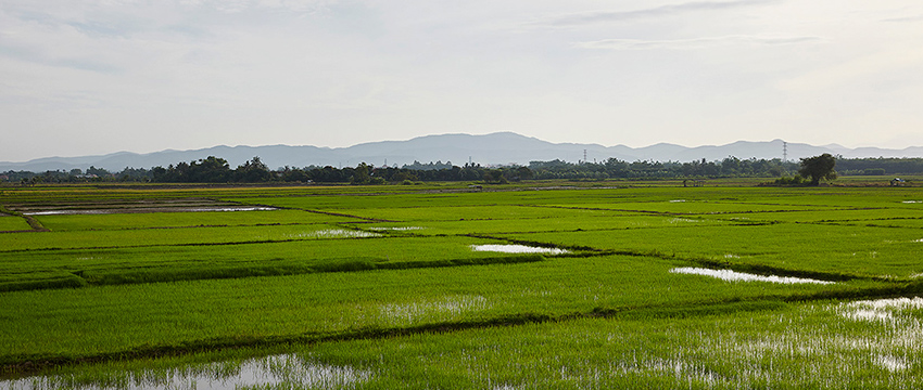 Burasiri San Phi Suea  Single-House Chiangmai , Chiangmai