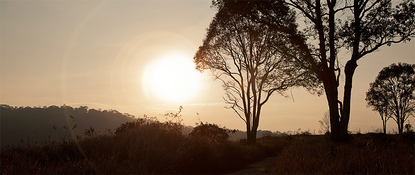 The Valley Condominium Khao Yai , 