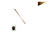XT Ekkamai